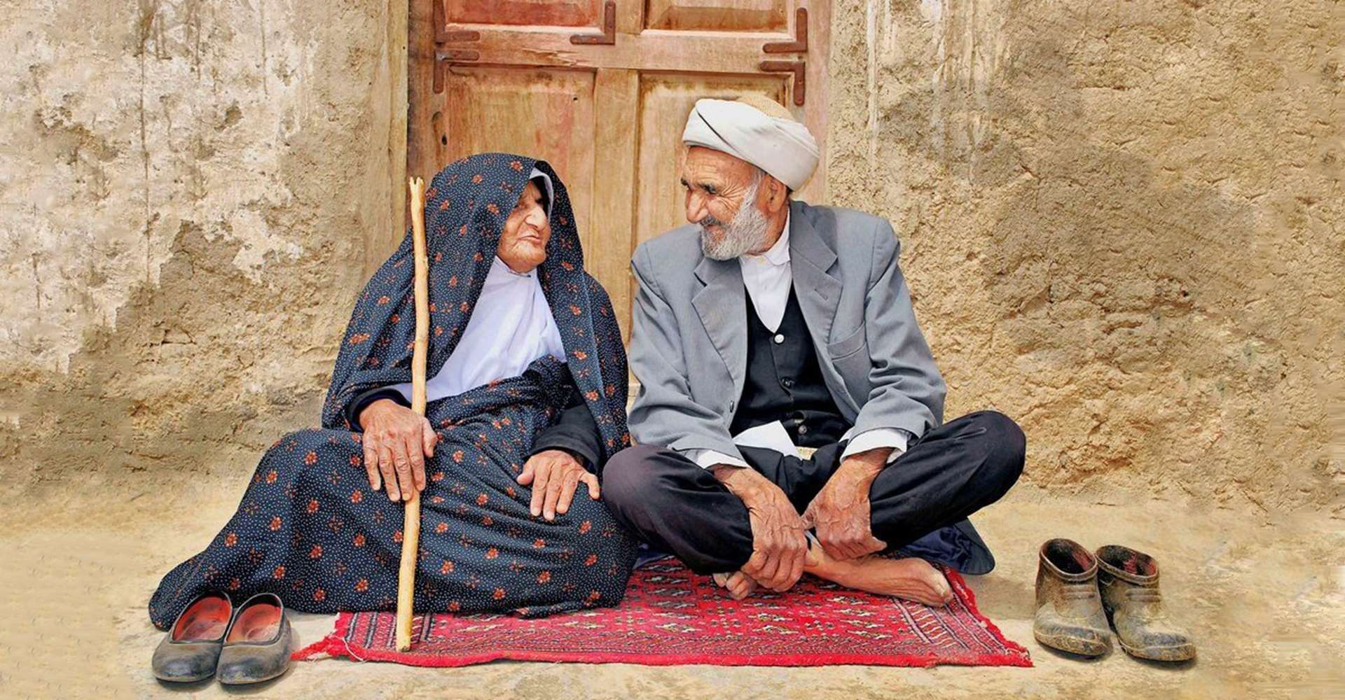 کوهورت
